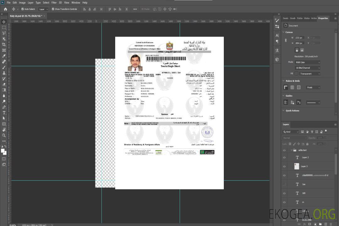 Modèle de visa électronique des Émirats arabes unis aux formats Word et PDF, version 9 template